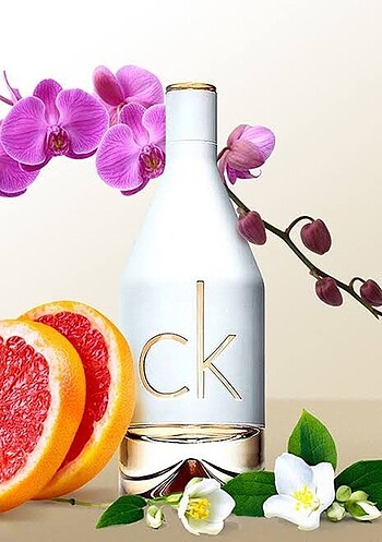 CALVİN KLEİN İN2U