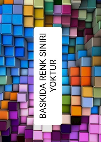 BASKI
