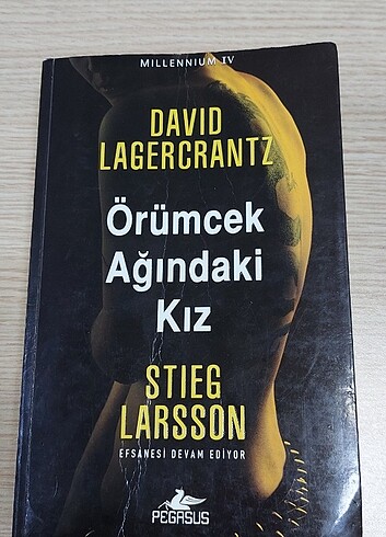 Örümcek ağındaki kız 