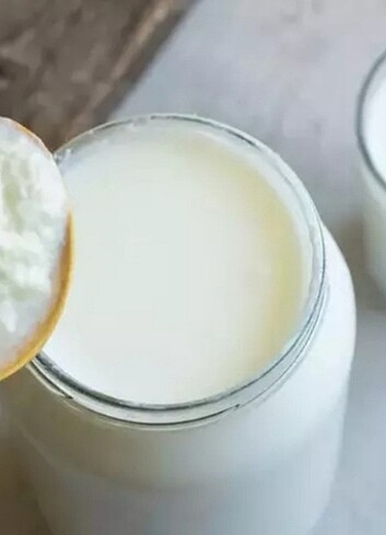 Kefir Mayası