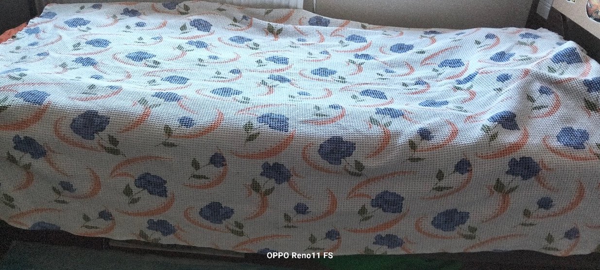 Mavi Baskılı pike - Görsel 4