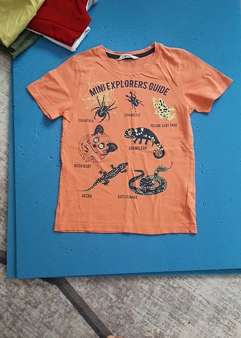 H&M Turuncu Baskılı Erkek Çocuk Tişört