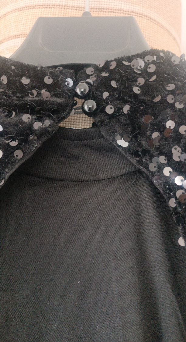 Siyah pullu kadife Uzun Kollu Uzun Abiye Elbise - Görsel 5