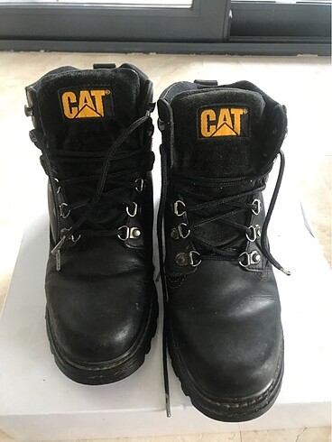 Erkek Cat Bot