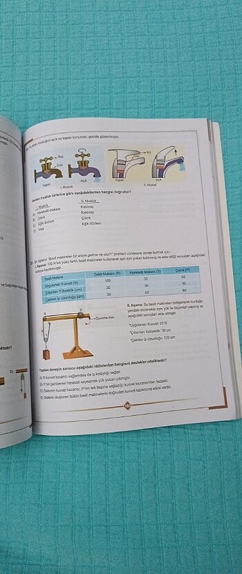  Beden Renk Lgs de çıkmış sorular 
