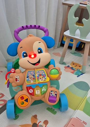 Fisher Price Yürüme Arkadaşı