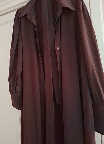 Nissra ferace - Görsel 5