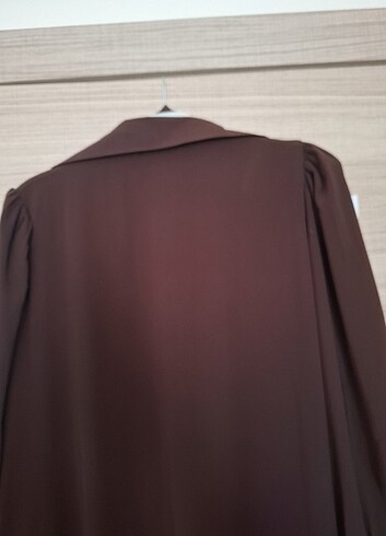 Nissra ferace - Görsel 8