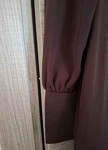 Nissra ferace - Görsel 9