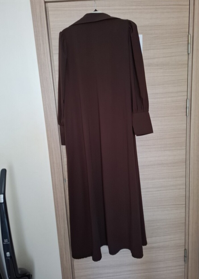 Nissra ferace - Görsel 4