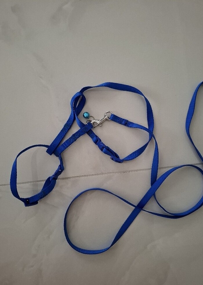 Kedi tasmasi - Görsel 2