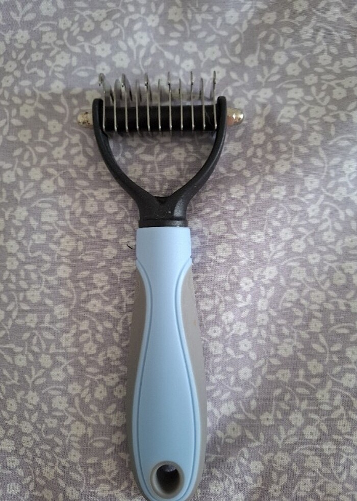 Kedi taragi - Görsel 2