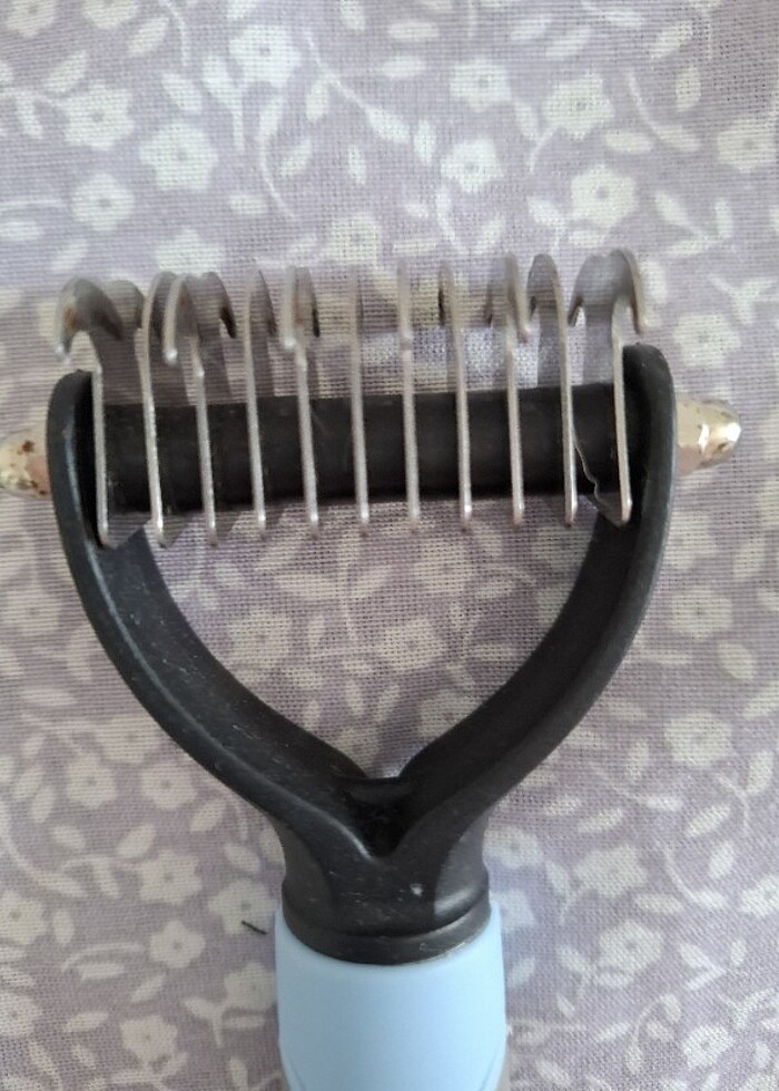 Kedi taragi - Görsel 3