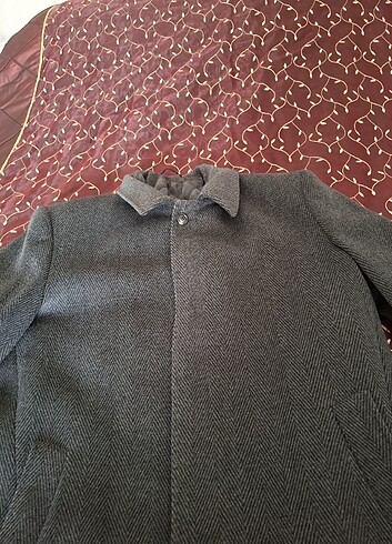 Erkek kaban - Görsel 4