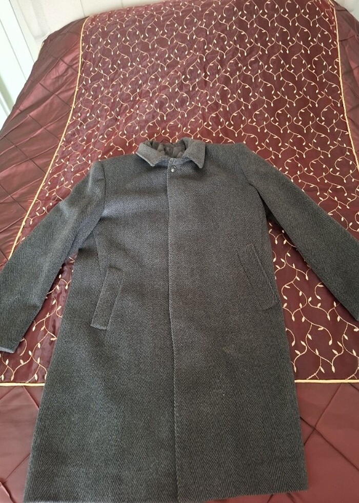 Erkek kaban - Görsel 3