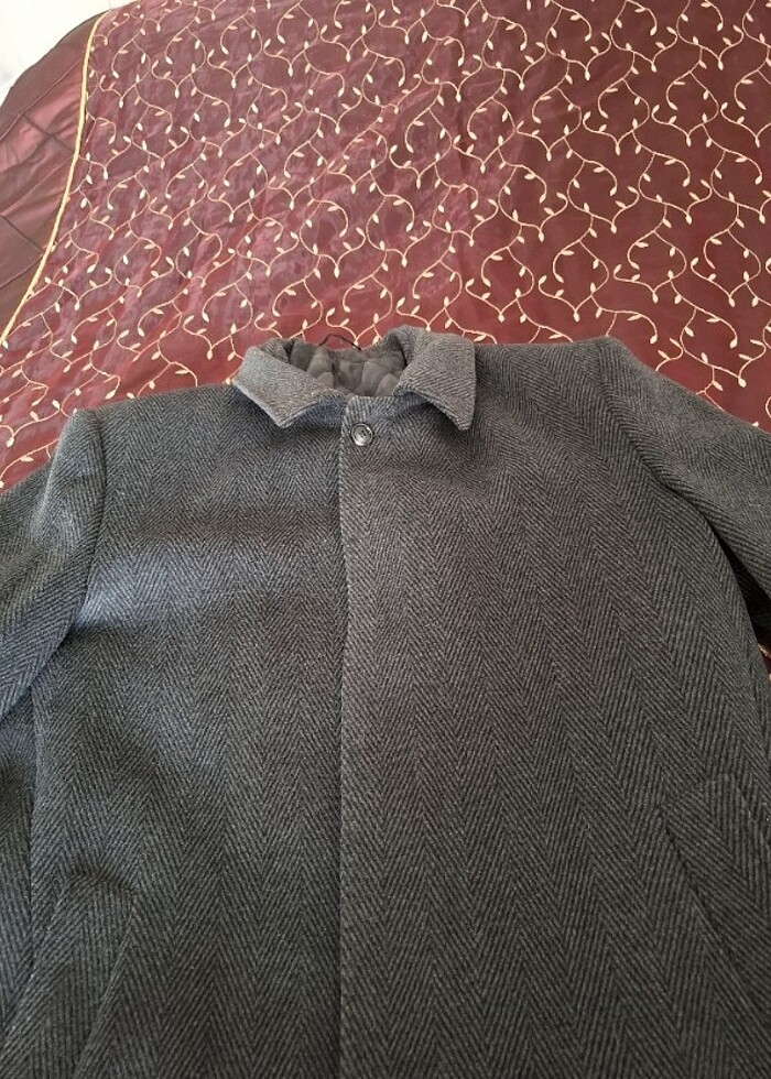 Erkek kaban - Görsel 4