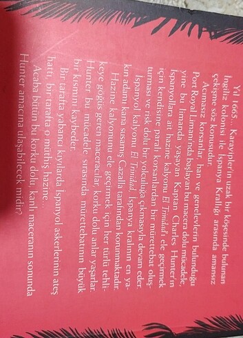 Korsan günlüğü  - Görsel 2