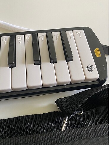 Beden Renk Üfleyerek çalınan melodica