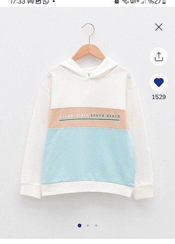 LC Waikiki Erkek çocuk kapşonlu sweat