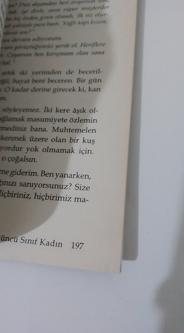 Üçüncü Sınıf Kadın - Anıl Alacaoğlu - Görsel 3