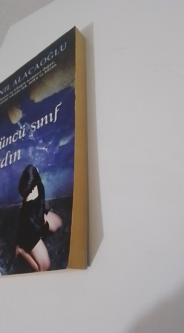 Üçüncü Sınıf Kadın - Anıl Alacaoğlu - Görsel 2