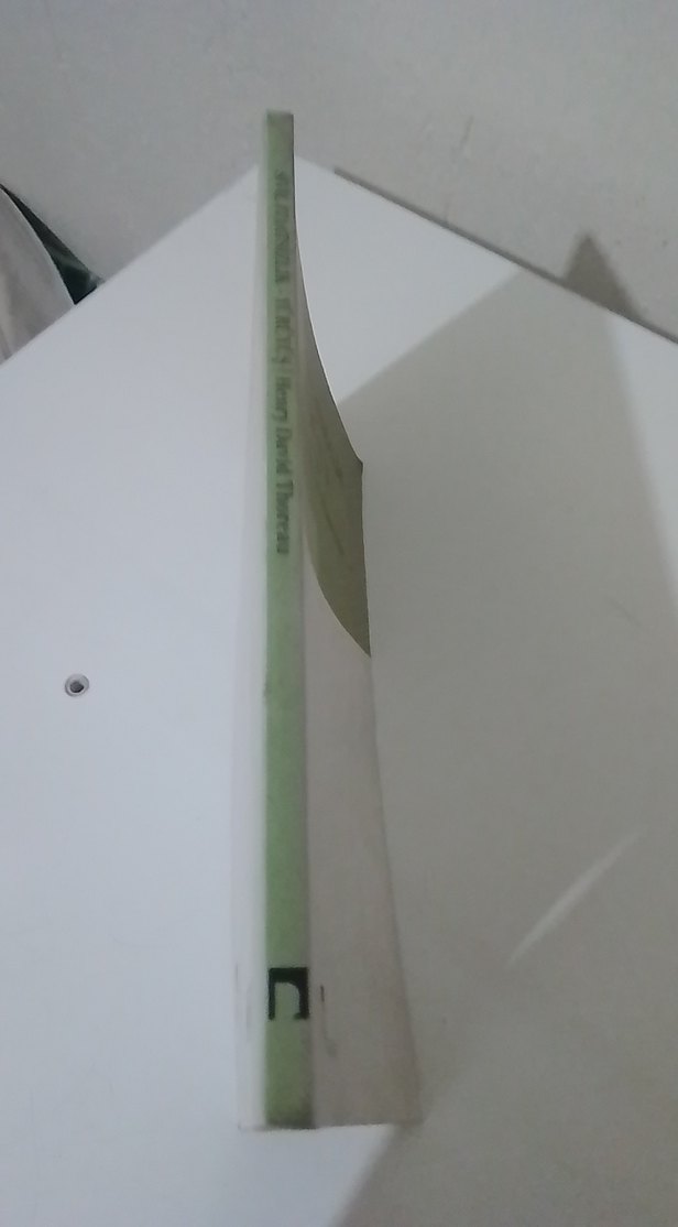 Sivil İtaatsizlik Yürüyüşü - Henry David Thoreau - Görsel 4