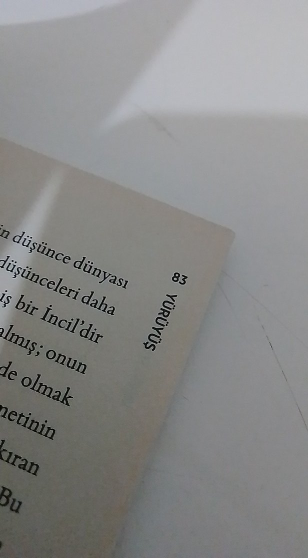 Sivil İtaatsizlik Yürüyüşü - Henry David Thoreau - Görsel 3