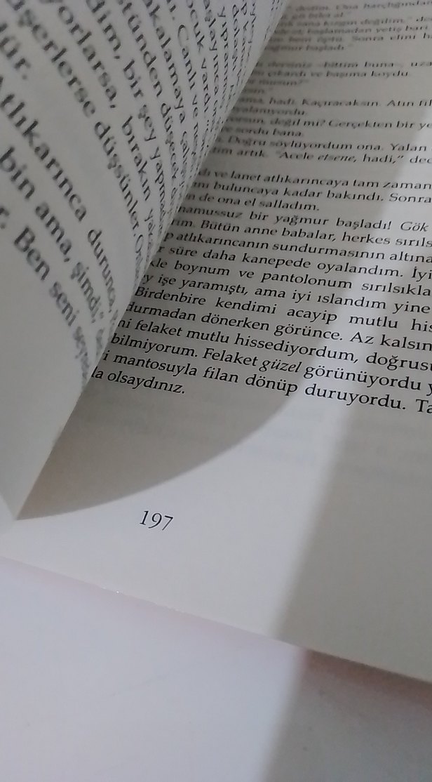 Çavdar Tarlasında Çocuklar - J.D. Salinger - Görsel 3