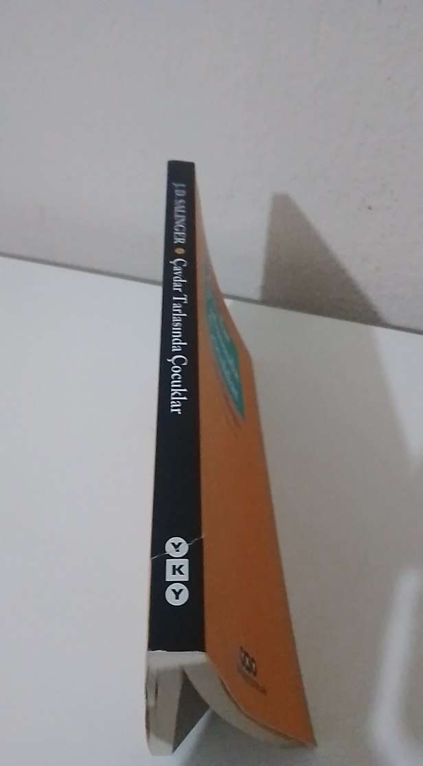 Çavdar Tarlasında Çocuklar - J.D. Salinger - Görsel 4