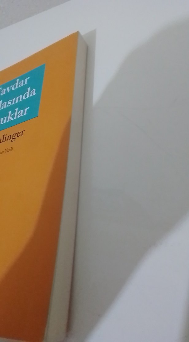 Çavdar Tarlasında Çocuklar - J.D. Salinger - Görsel 2