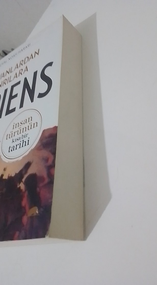 Sapiens: Hayvanlardan Tanrılara - İnsan Türünün Tarihi - Görsel 2