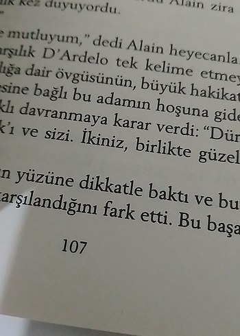 Milan Kundera - Kayitsizlik Şenliği Roman - Görsel 3