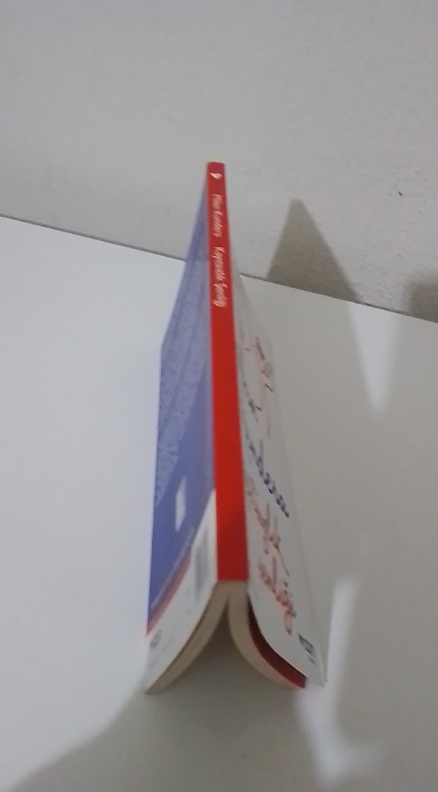 Milan Kundera - Kayitsizlik Şenliği Roman - Görsel 4