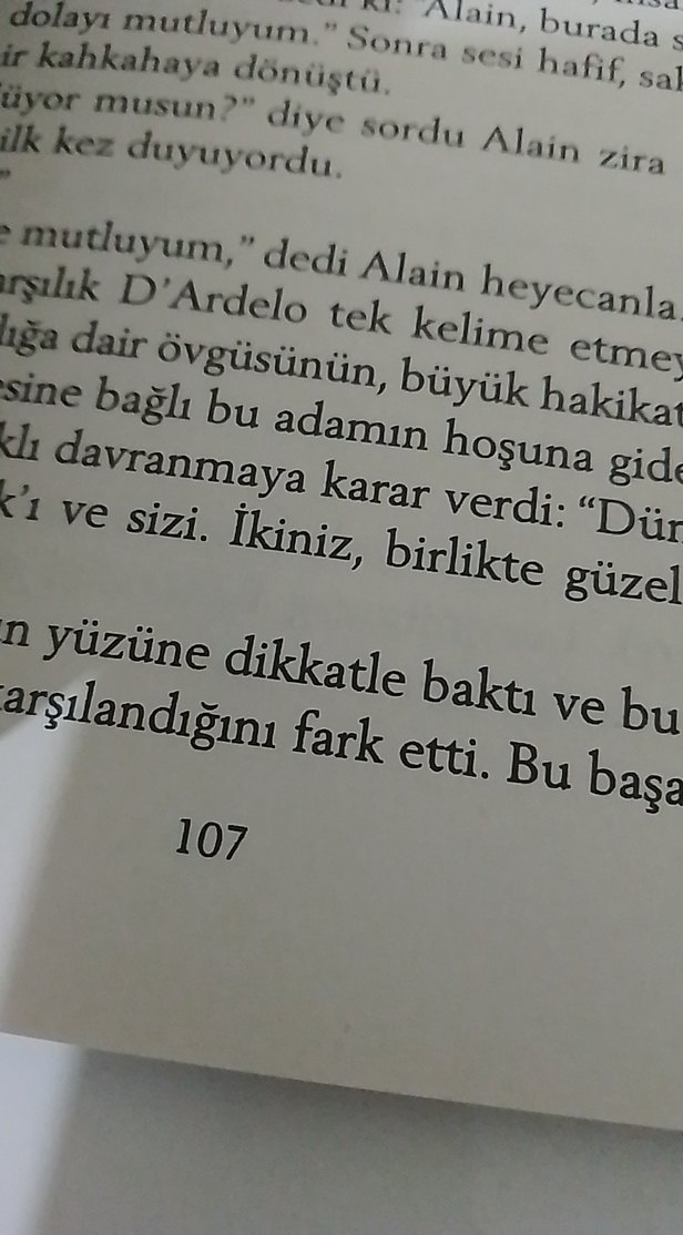 Milan Kundera - Kayitsizlik Şenliği Roman - Görsel 3