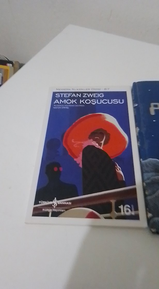 Amok Koşucusu ve Ay Polisi Romanları - Görsel 3