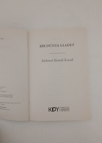 Bir Dünya Sanat - Mehmet Hamdi Kavak - Görsel 2