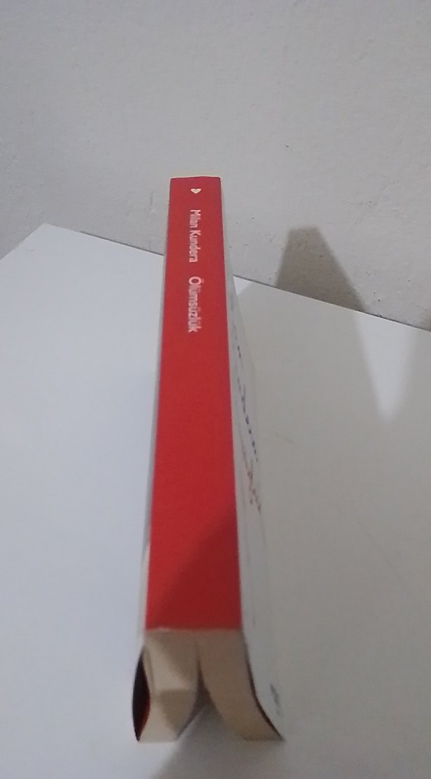 Ölümsüzlük - Milan Kundera - Görsel 4