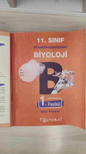11. sınıf biyoloji fasiküllü kaynak test okul yayınları