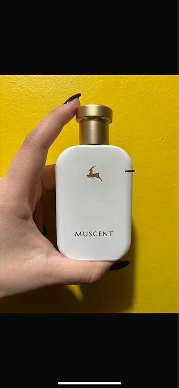 Diğer Muscent Valaya