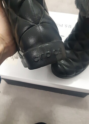 Crocs bot