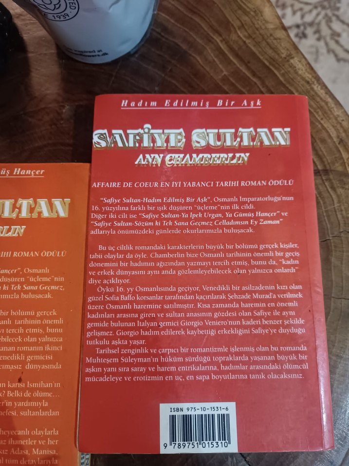 Safiye Sultan - Ann Chamberlin Roman Seti - Görsel 4