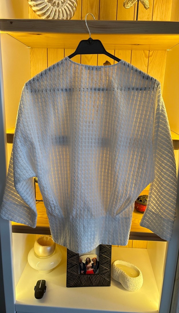 Uzun Kollu V Yaka Transparan Beyaz Bluz - Görsel 2