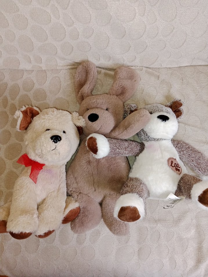 Bej Gri Peluş Sırt Çantası Ve Peluş oyuncaklar - Görsel 5