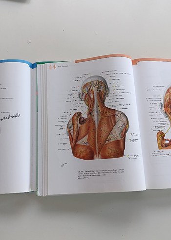 Sobotta İnsan Anatomisi Atlası Cilt 1 ve 2 21. baskı