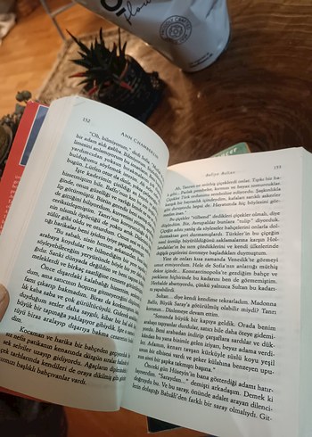 Safiye Sultan - Ann Chamberlin Roman Seti - Görsel 3