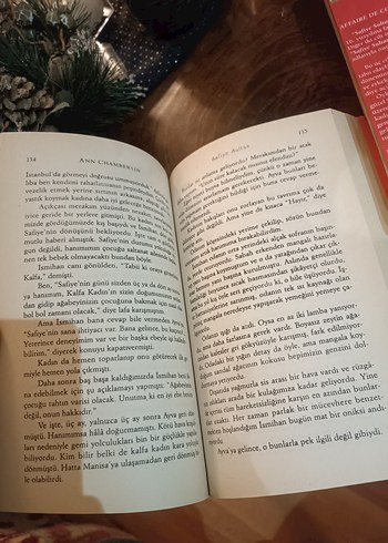 Safiye Sultan - Ann Chamberlin Roman Seti - Görsel 4