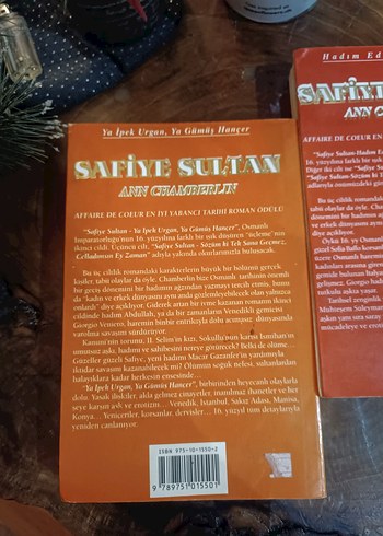 Safiye Sultan - Ann Chamberlin Roman Seti - Görsel 5