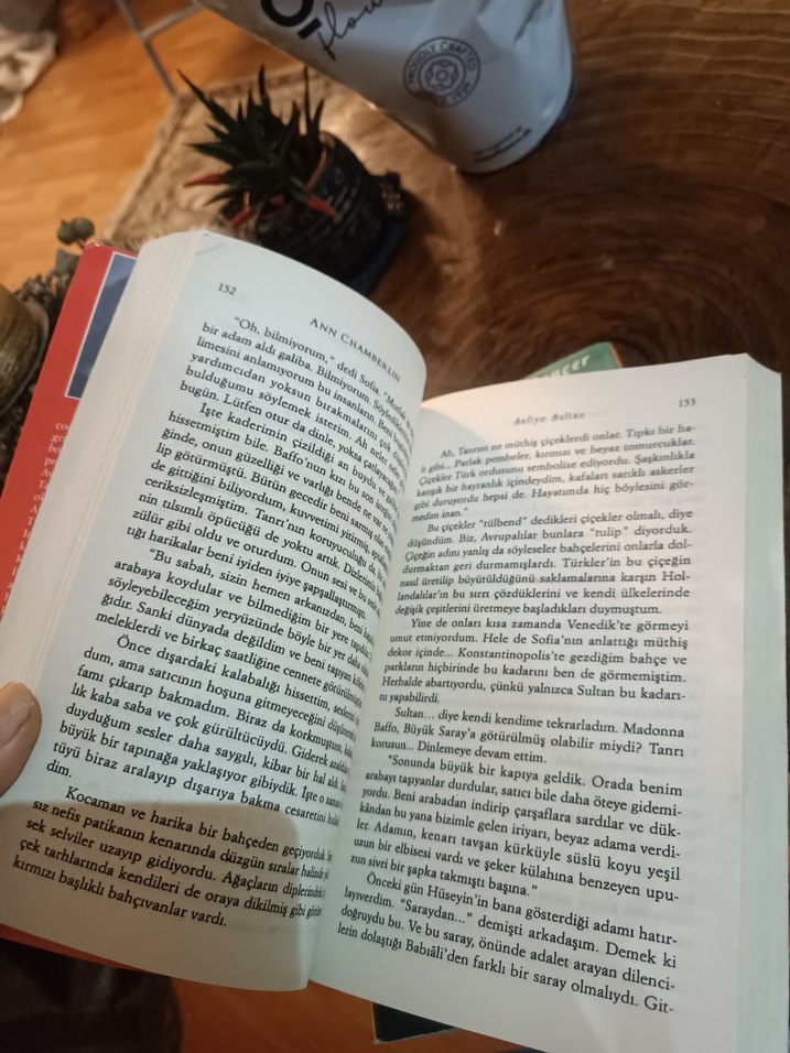 Safiye Sultan - Ann Chamberlin Roman Seti - Görsel 3
