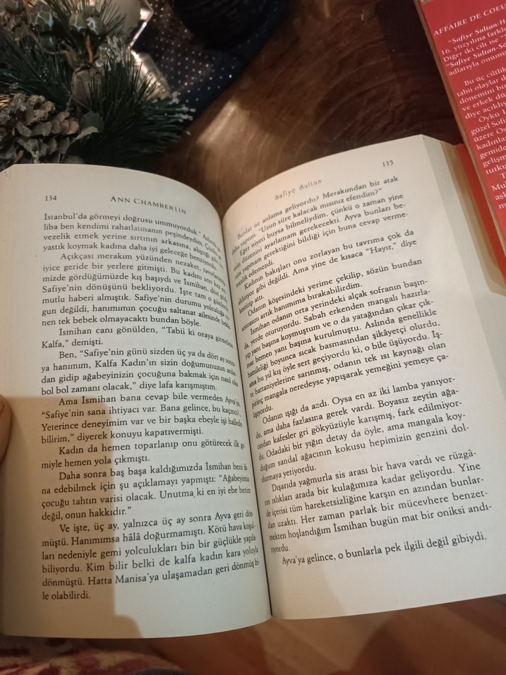 Safiye Sultan - Ann Chamberlin Roman Seti - Görsel 4