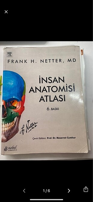Netter insan anatomi atlası